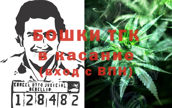 гидра Белокуриха