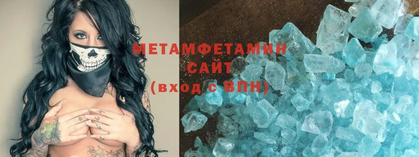 гидра Белокуриха