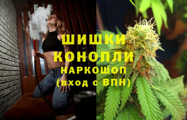гидра Белокуриха
