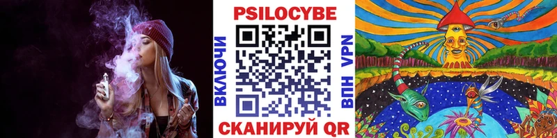 Купить закладки  Усть-Лабинск  Псилоцибиновые грибы прущие грибы 